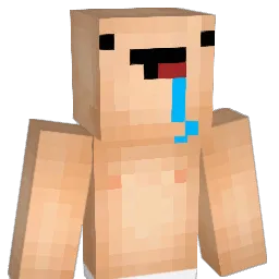 berrefjord01 Minecraft avatar bust