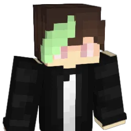 besoar Minecraft avatar bust