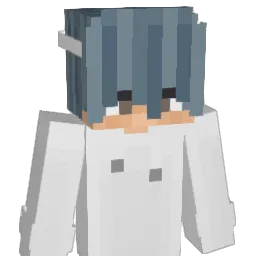 besoffenes Minecraft avatar bust
