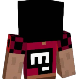 best_tr_53 Minecraft avatar bust