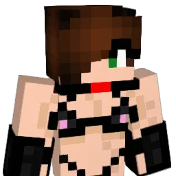 betmen66 Minecraft avatar bust