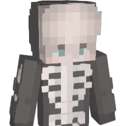 beywix Minecraft avatar bust