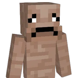 bffman200 Minecraft avatar bust