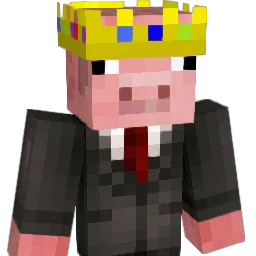 bibble5's Minecraft skin