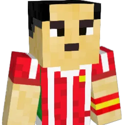 bielinho103 Minecraft avatar bust