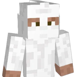 bigaarrond Minecraft avatar bust