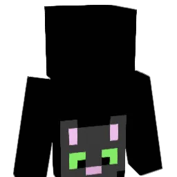 bigcatspins Minecraft avatar bust