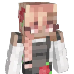 bigdoinkdave Minecraft avatar bust