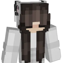 biiir Minecraft avatar bust
