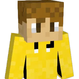 bimsmc Minecraft avatar bust
