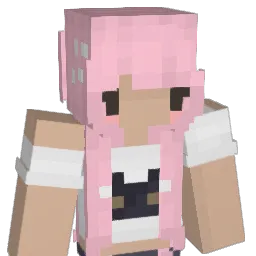 bingasaur's Minecraft skin