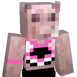 bingus000 Minecraft avatar bust