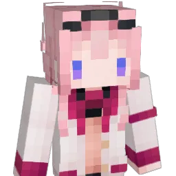bingwaa's Minecraft skin