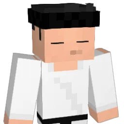 biore_xany Minecraft avatar bust