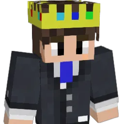 birdiemine_ Minecraft avatar bust