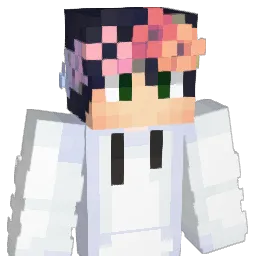 birdii_berrii Minecraft avatar bust