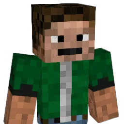 birdis Minecraft avatar bust