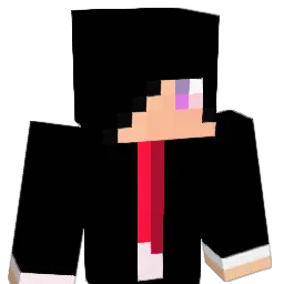 biriken2317 Minecraft avatar bust