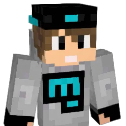 birrdypooo Minecraft avatar bust
