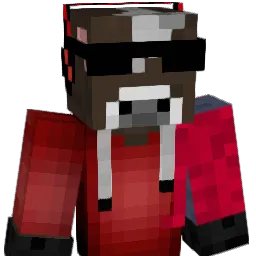 biscuitboy1211 Minecraft avatar bust