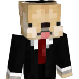 bjbjower's Minecraft skin