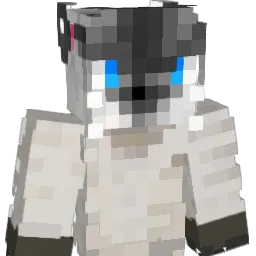 blackC1 Minecraft avatar bust