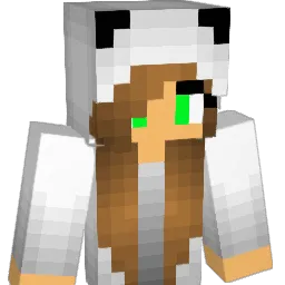black_ninja5 Minecraft avatar bust