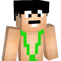 blackhawk6 Minecraft avatar bust