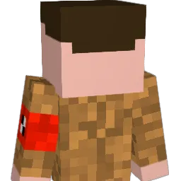 blackhawks2417 Minecraft avatar bust