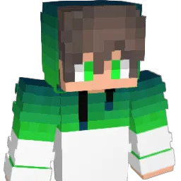 blackwhite17 Minecraft avatar bust