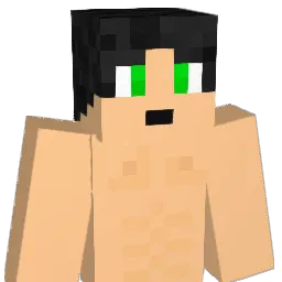 blader2411 Minecraft avatar bust