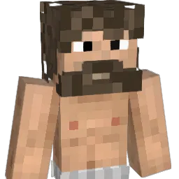 blangustin Minecraft avatar bust