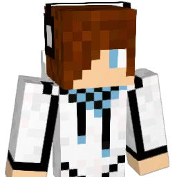 blank71112 Minecraft avatar bust
