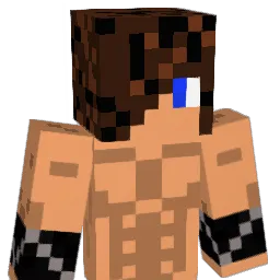 blaz033's Minecraft skin