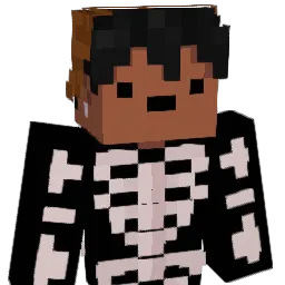 bleidola Minecraft avatar bust