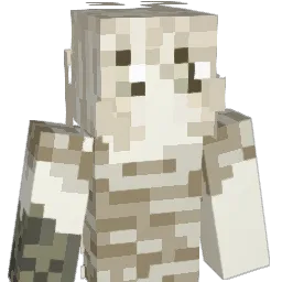 bleotter's Minecraft skin