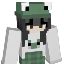 blerbi's Minecraft skin