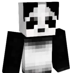 blitzninja9 Minecraft avatar bust