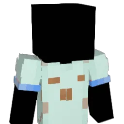 blockinchxp87 Minecraft avatar bust