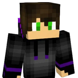 blocksu0493 Minecraft avatar bust
