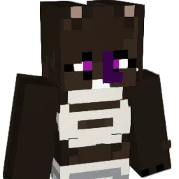 blossa21's Minecraft skin