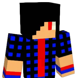 blueberry_2007 Minecraft avatar bust