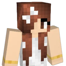 blueshoes123 Minecraft avatar bust