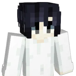 bmwowner's Minecraft skin