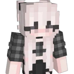 bobbilvr