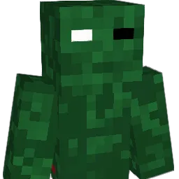 bobjack5555's Minecraft skin