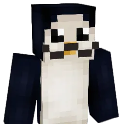 bobjr135's Minecraft skin