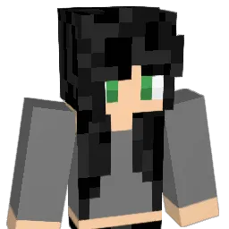 bobrocksmc's Minecraft skin
