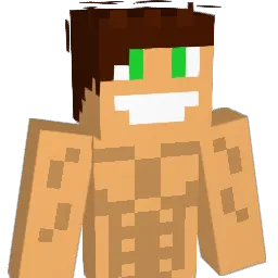 boderkx Minecraft avatar bust