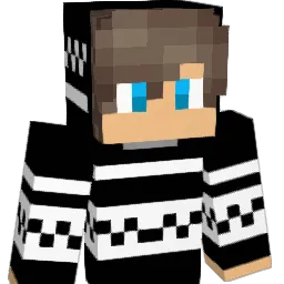 boeing2565 Minecraft avatar bust
